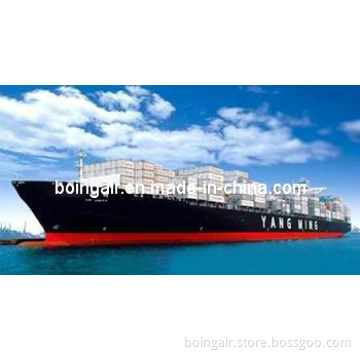 FCL Container From Shenzhen, Shanghai, Qingdao, Guangzhou, China to Caacupemi, Callao, Cartagena